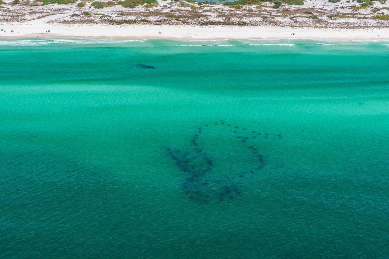 Villa Surfin' Turtle à Santa Rosa Beach Extérieur photo
